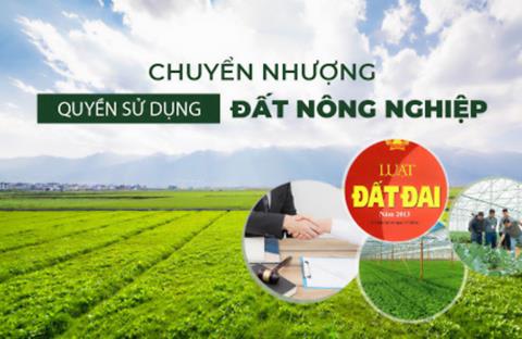 Hướng dẫn thủ tục mua bán chuyển nhượng đất nông nghiệp năm 2022